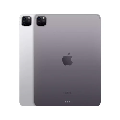 iPad Pro 11 Gümüş ve Uzay Grisi