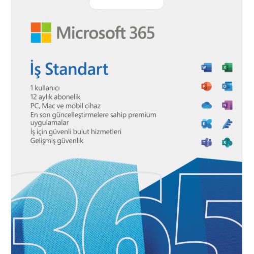 Microsoft Office İş Standart