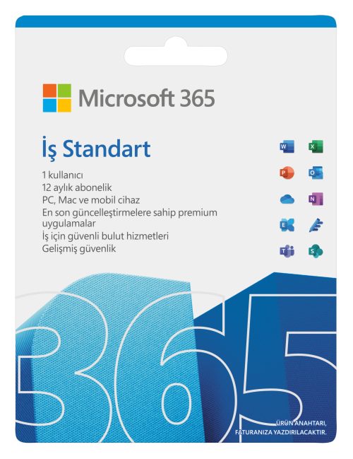 Microsoft Office İş Standart